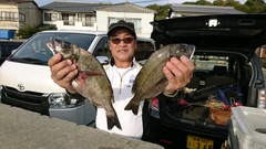 まこと渡船 釣果