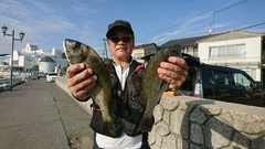 まこと渡船 釣果