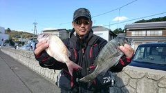 まこと渡船 釣果