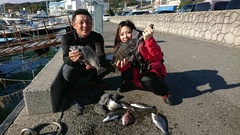 まこと渡船 釣果