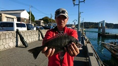 まこと渡船 釣果