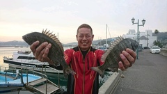 まこと渡船 釣果