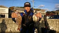 まこと渡船 釣果