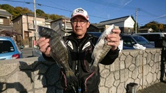 まこと渡船 釣果