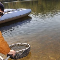 フィッシングレイクたかみや 釣果