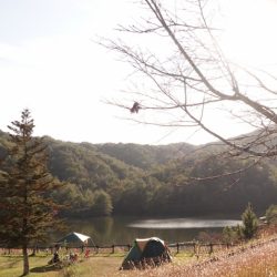 フィッシングレイクたかみや 釣果