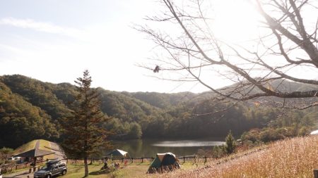 フィッシングレイクたかみや 釣果