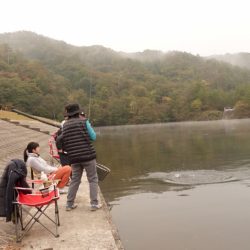 フィッシングレイクたかみや 釣果