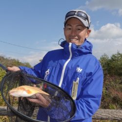 フィッシングレイクたかみや 釣果