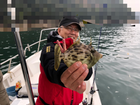 Magic（マジック） 釣果