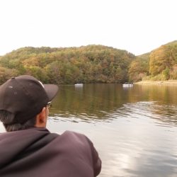 フィッシングレイクたかみや 釣果