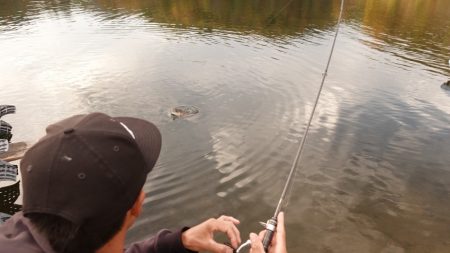 フィッシングレイクたかみや 釣果