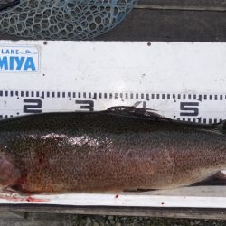 フィッシングレイクたかみや 釣果