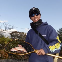 フィッシングレイクたかみや 釣果