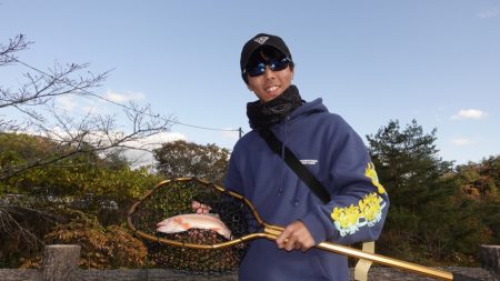 フィッシングレイクたかみや 釣果