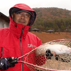 フィッシングレイクたかみや 釣果
