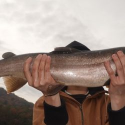 フィッシングレイクたかみや 釣果
