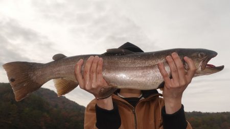 フィッシングレイクたかみや 釣果
