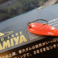 フィッシングレイクたかみや 釣果