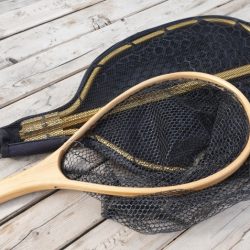 フィッシングレイクたかみや 釣果