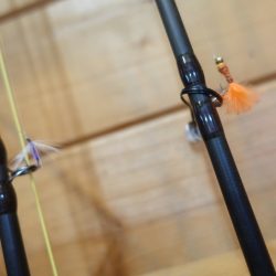 フィッシングレイクたかみや 釣果