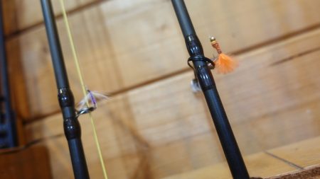 フィッシングレイクたかみや 釣果