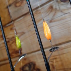 フィッシングレイクたかみや 釣果