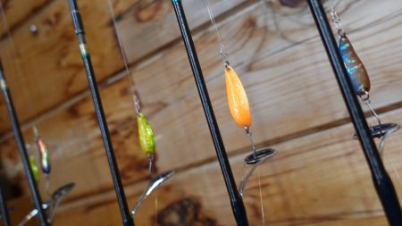 フィッシングレイクたかみや 釣果