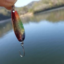 フィッシングレイクたかみや 釣果