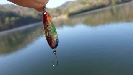 フィッシングレイクたかみや 釣果