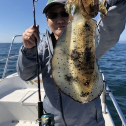 Magic(マジック) 釣果