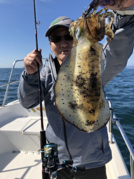 Magic(マジック) 釣果