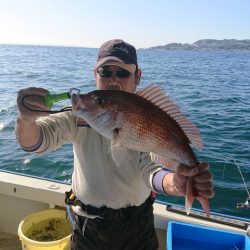 たかみ丸 釣果