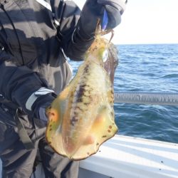 まるいち丸 ZERO-1 釣果