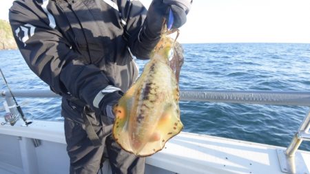 まるいち丸 ZERO-1 釣果