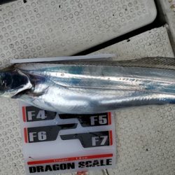 遊漁船 ニライカナイ 釣果