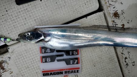 遊漁船 ニライカナイ 釣果