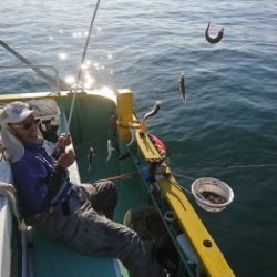 KONAYAーMARU(こなや丸) 釣果