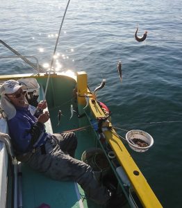 KONAYAーMARU(こなや丸) 釣果