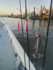 東京湾探釣隊ぼっち 釣果