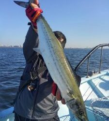 東京湾探釣隊ぼっち 釣果