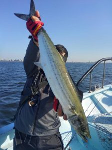 東京湾探釣隊ぼっち 釣果
