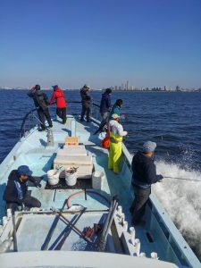 東京湾探釣隊ぼっち 釣果