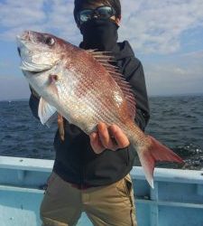 東京湾探釣隊ぼっち 釣果