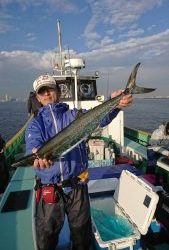 KONAYAーMARU(こなや丸) 釣果