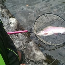 フィッシングエリア帝釈 釣果