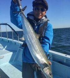 東京湾探釣隊ぼっち 釣果