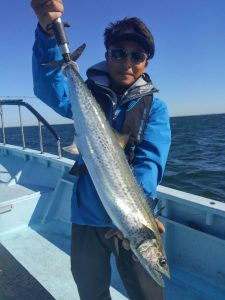 東京湾探釣隊ぼっち 釣果