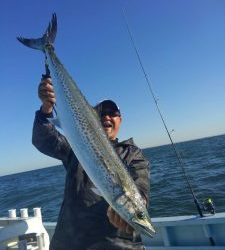 東京湾探釣隊ぼっち 釣果
