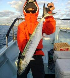 東京湾探釣隊ぼっち 釣果